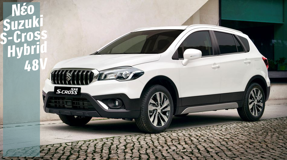 s-cross hybrid
